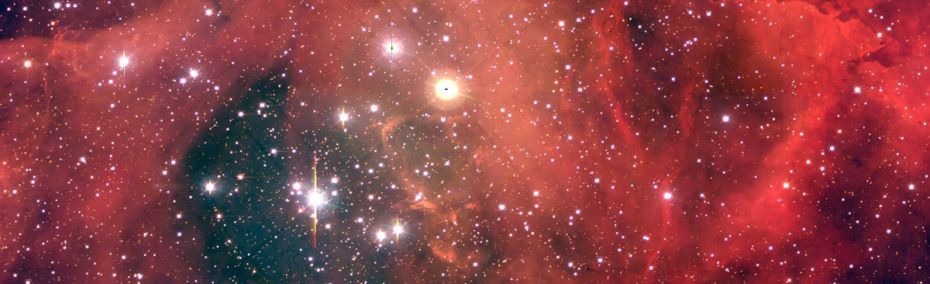 Дневен хороскоп за неделя 19 юни 2022 година