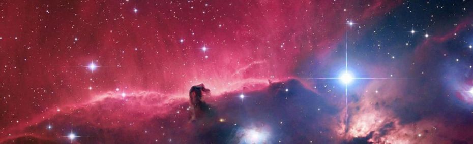 Дневен хороскоп за вторник 29 ноември 2022 година